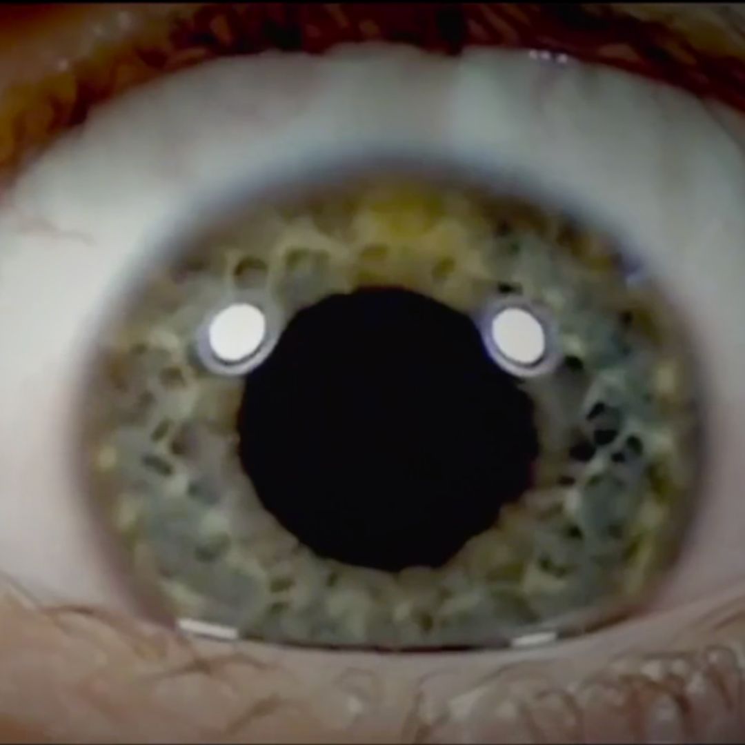 Hardcore – Image 4