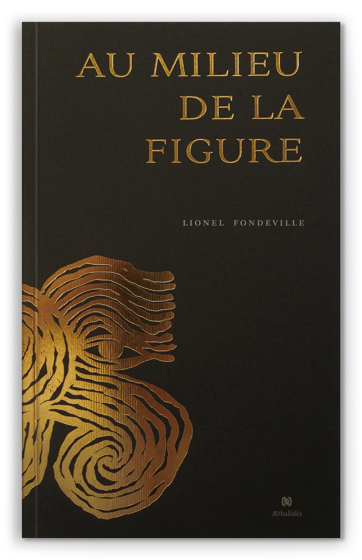 S2-Æthalides_mockup_aumilieudelafigure_recto